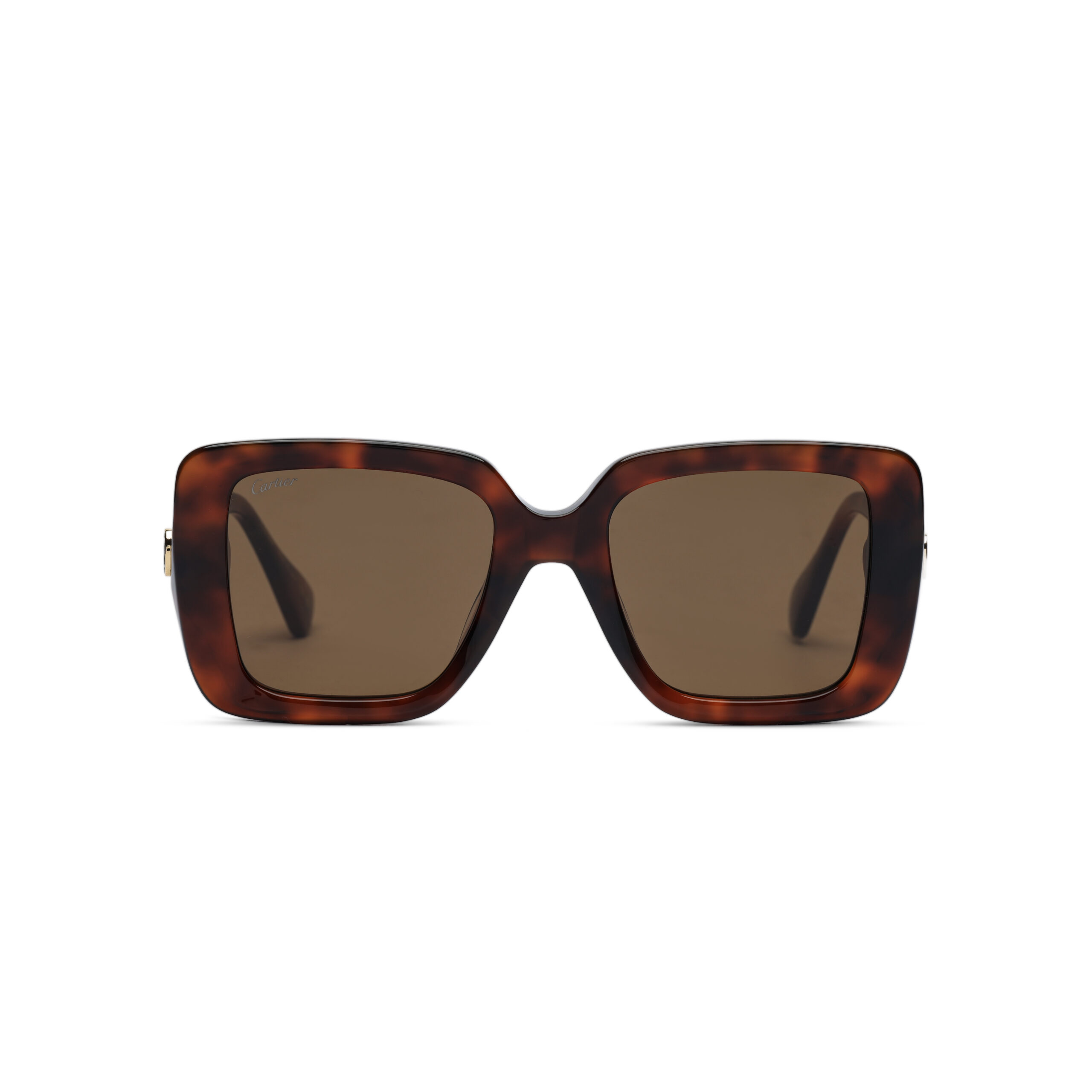 6S2A6738 نظارة شمسية نسائية Cartier –ct0315 تصميم فاخر بإطار تورتويز وعدسات UV400 - الصورة 1